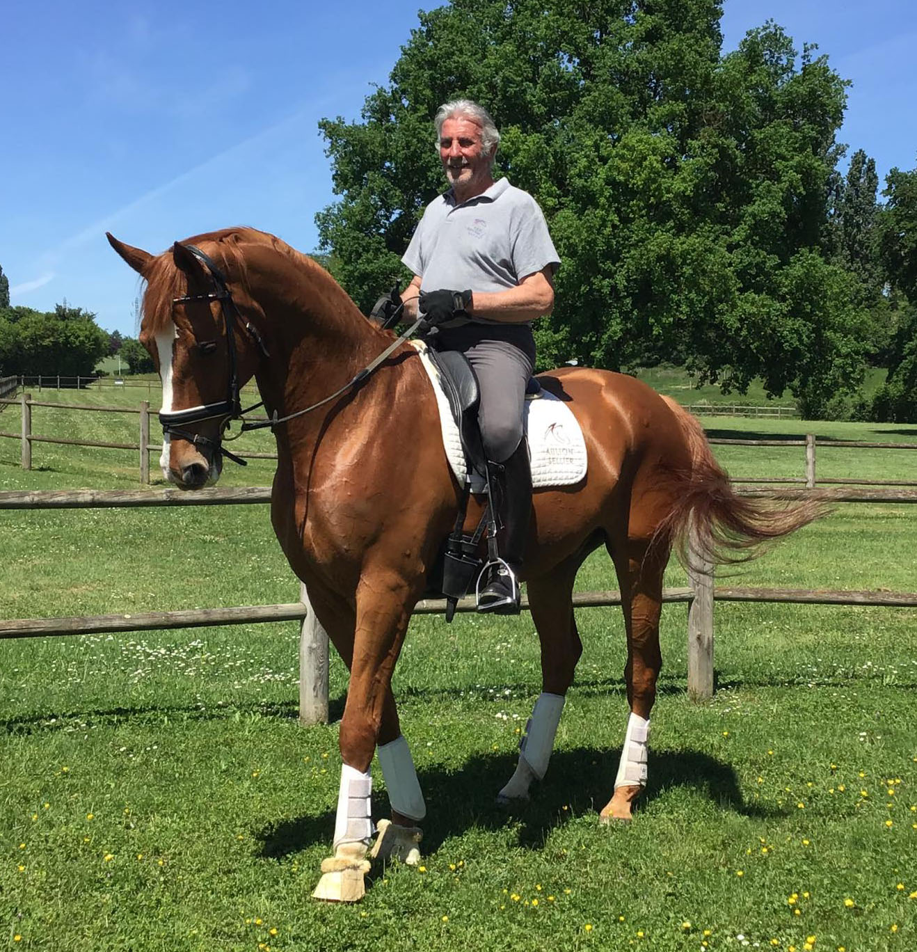 Hubert Perring - Dressage Rider